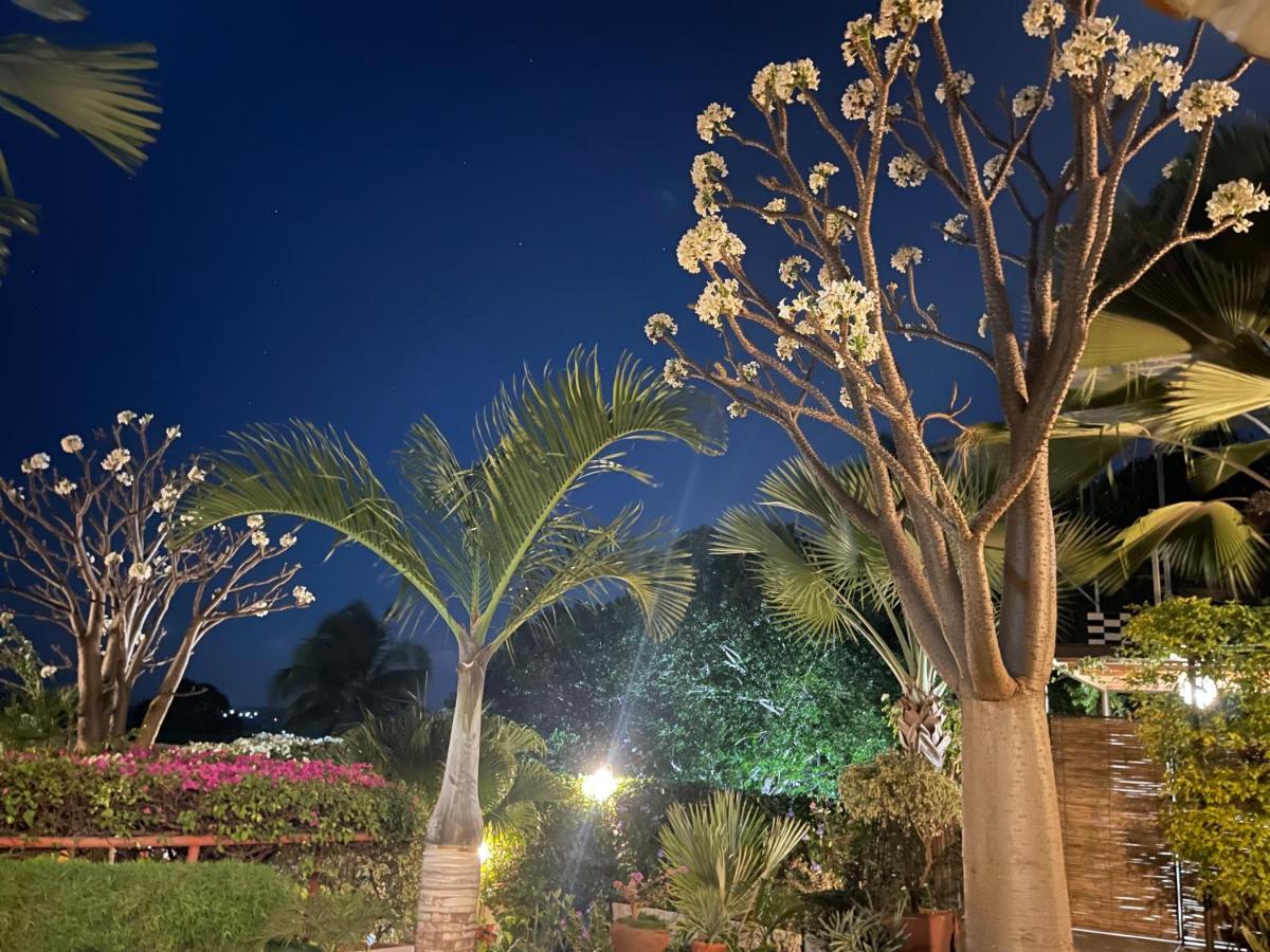 Le Jardin Exotique Hotel Antsiranana ภายนอก รูปภาพ