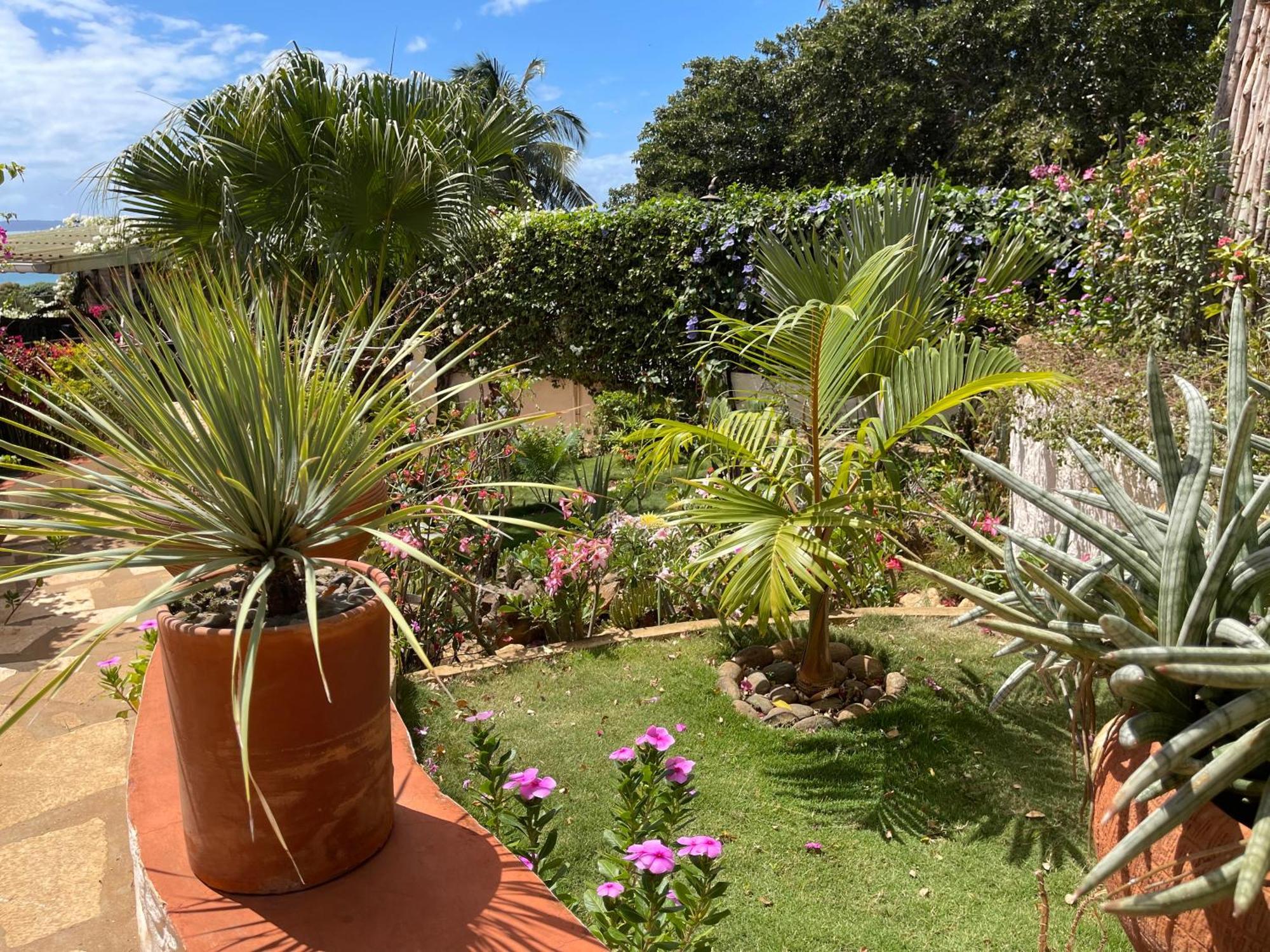 Le Jardin Exotique Hotel Antsiranana ภายนอก รูปภาพ