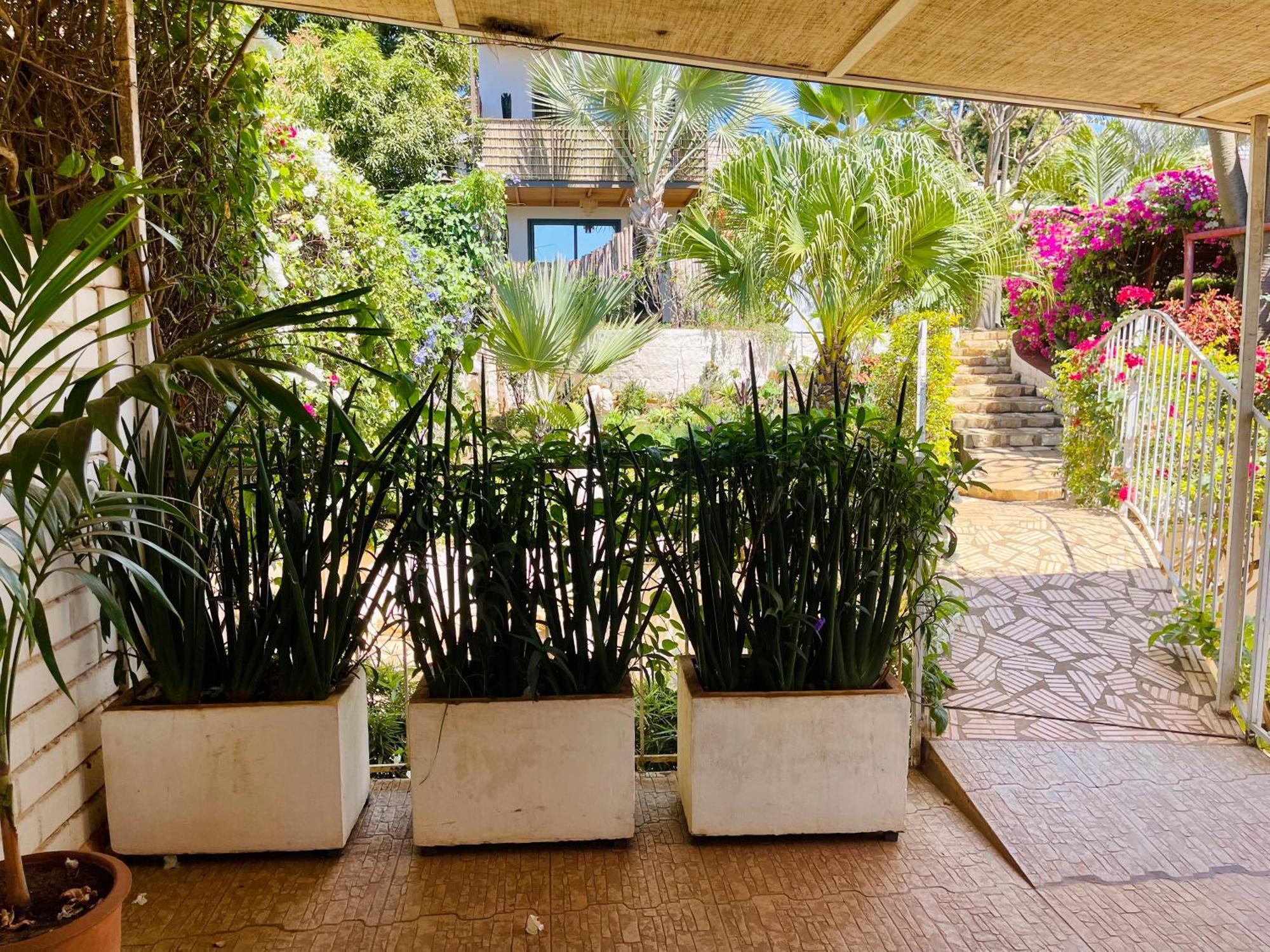 Le Jardin Exotique Hotel Antsiranana ภายนอก รูปภาพ