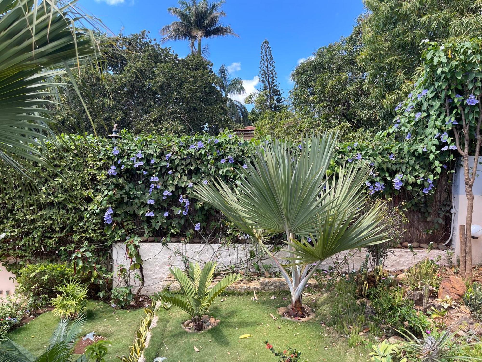 Le Jardin Exotique Hotel Antsiranana ภายนอก รูปภาพ