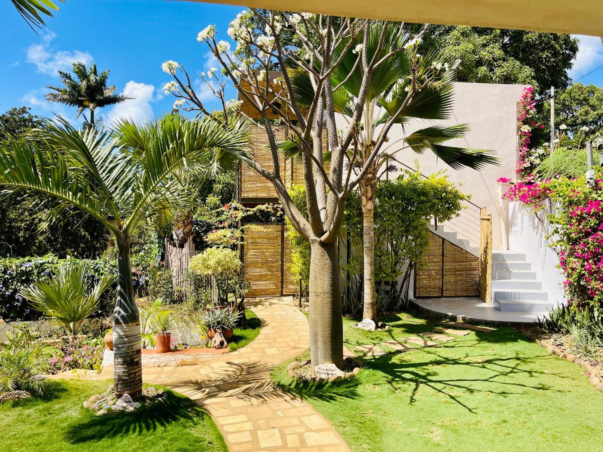 Le Jardin Exotique Hotel Antsiranana ภายนอก รูปภาพ