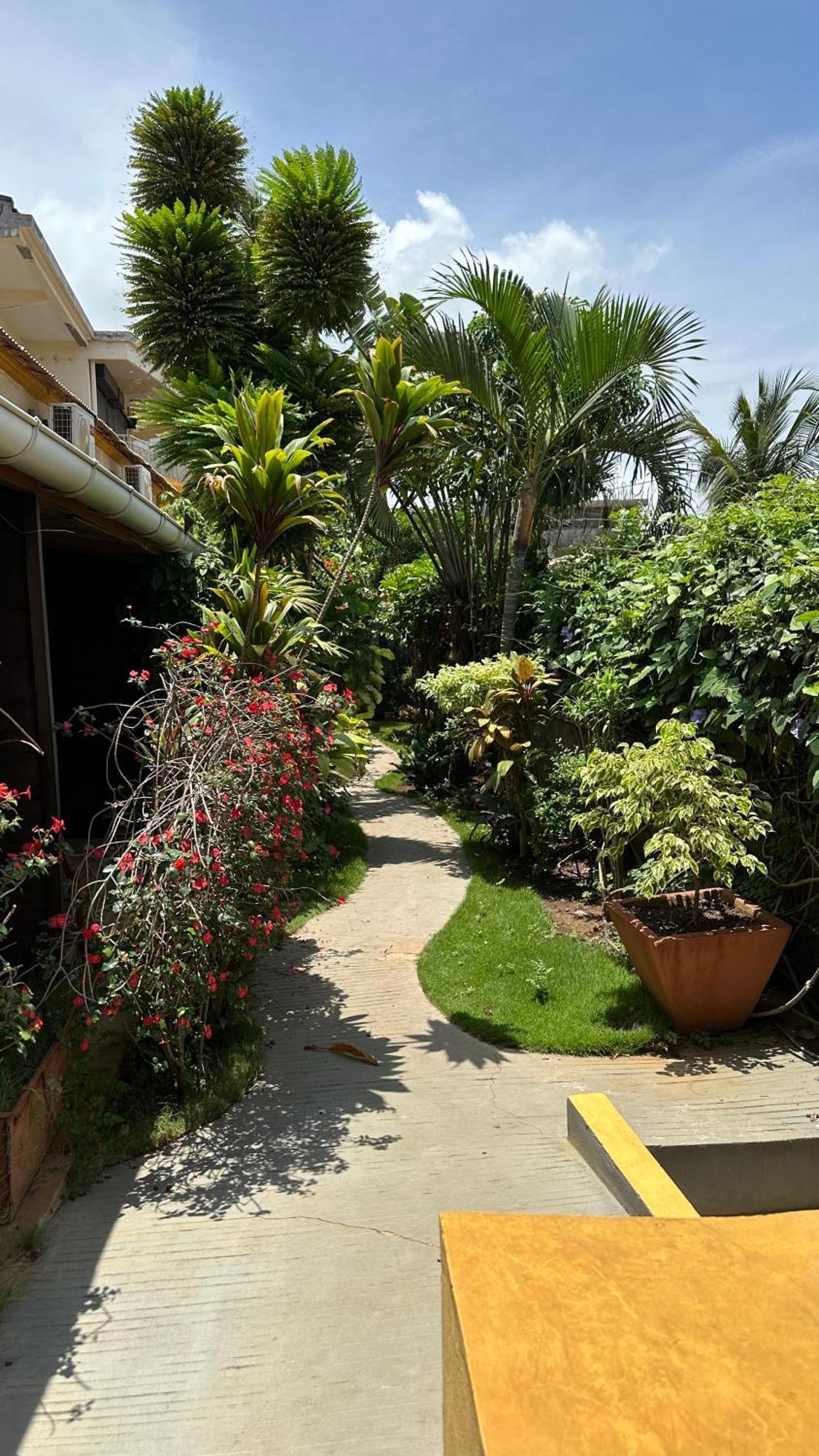 Le Jardin Exotique Hotel Antsiranana ภายนอก รูปภาพ